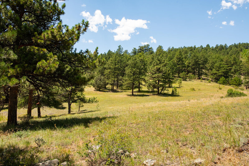 Legacy Ranch-007-044-Land-MLS_Size