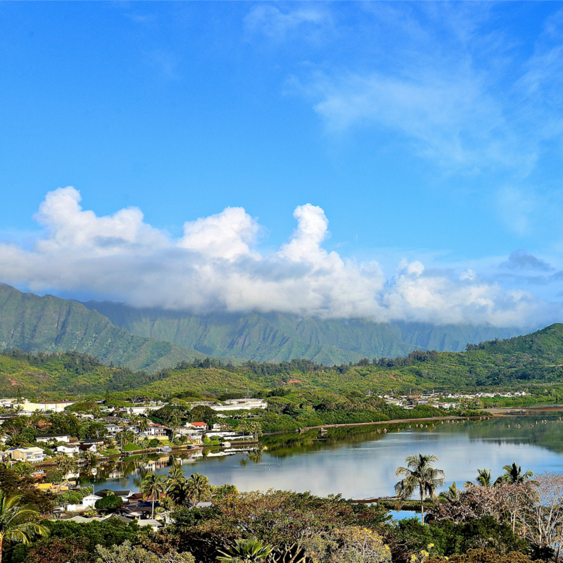 living in kaneohe
