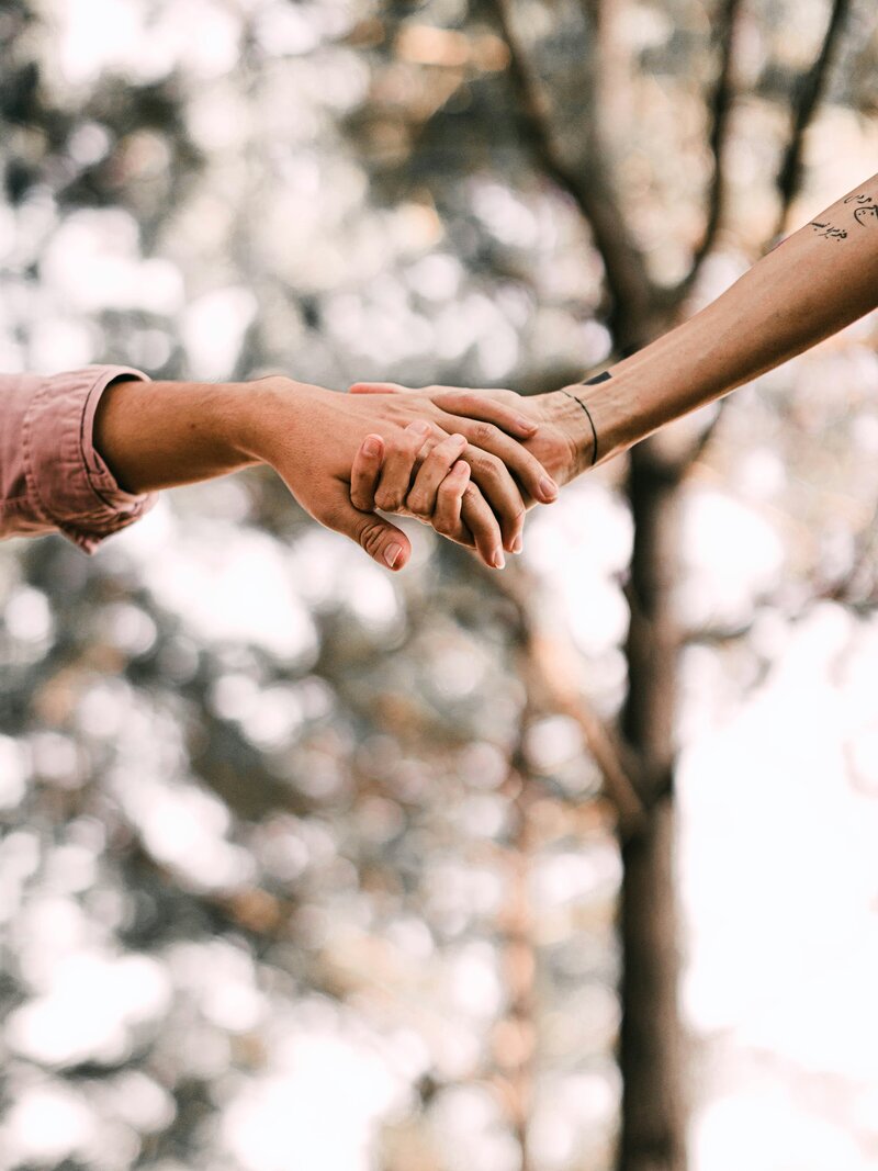 Close-up of two people holding hands outdoors, with blurred trees and natural light in the background.