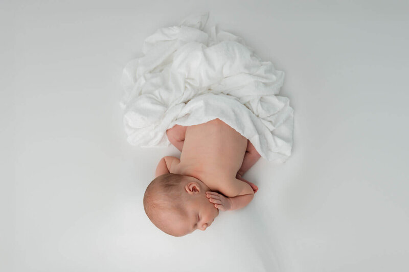 ARP NEWBORN STUDIO POSED EVERLY 24