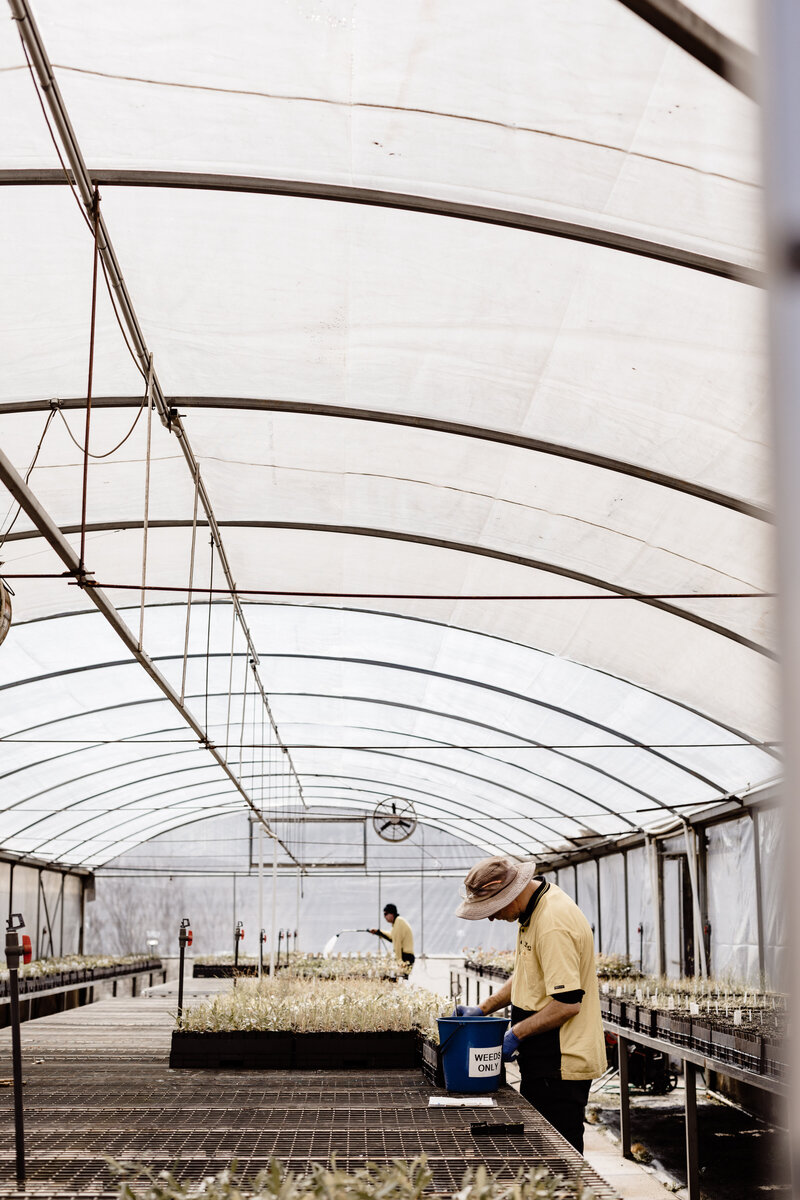 Indigo Power -Park Lane Nursery - JessicaCarrollPhotographer-15