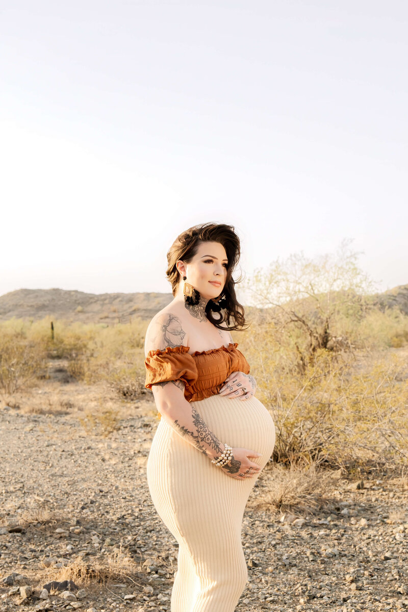 Maternity photo of mother holding belly in Phoenix desert at sunset.