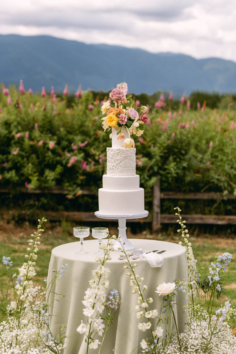 515-Eagle-Manor-Estate-Vancouver-Canada-Maryam-Noel-Wedding-49