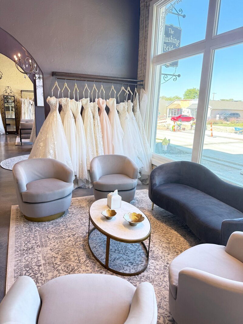 the blushing bride boutique frisco texas (18)