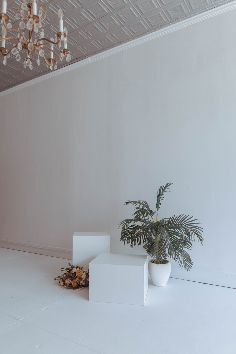Natural-light photography studio with white walls and modern furniture in Troy, MO