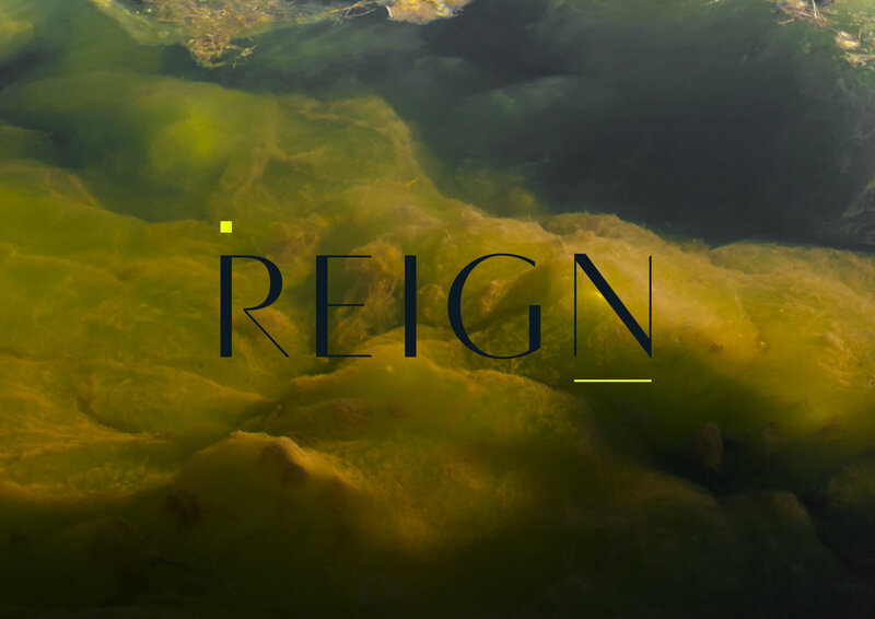 Deep navy Reign logo with neon accents  overlaid on fluid artwork.