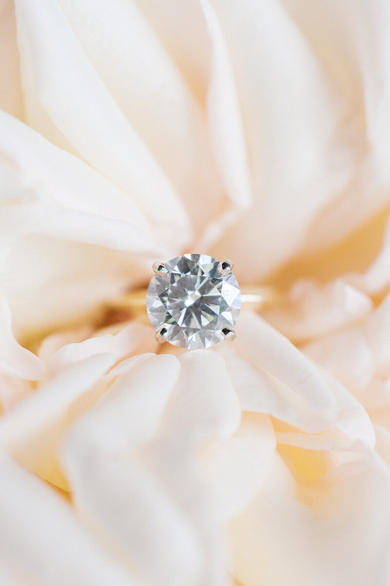 Engagement ring with round solitare diamond sits in peach english rose bloom
