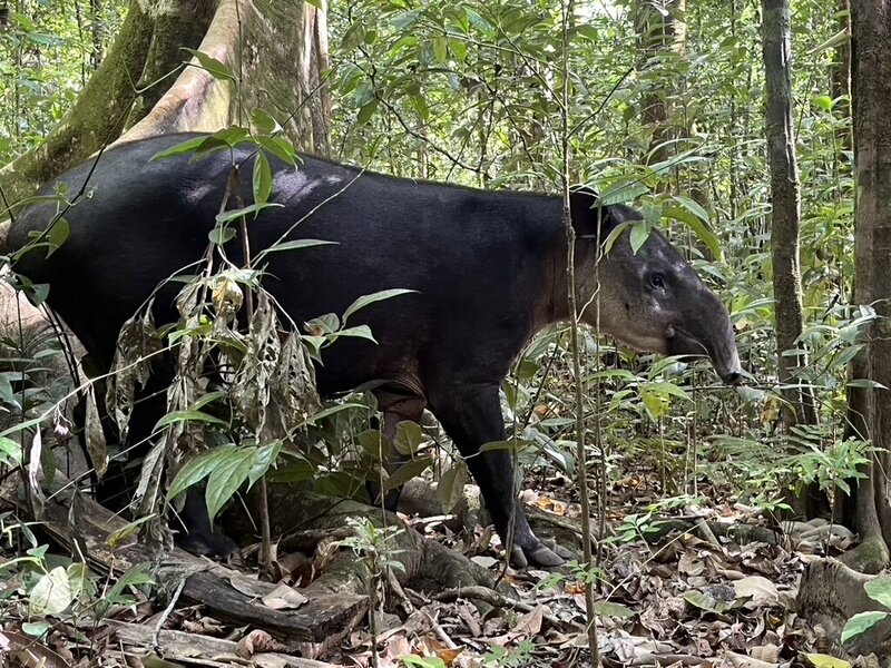 EB5E7469-4FFA-4088-BA50-FA8E43A9F704_1_105_c