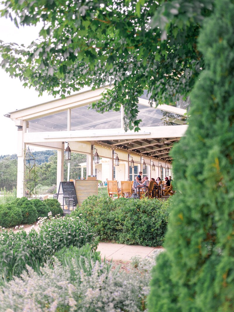Pippin Hill Wedding Charlottesville Virginia Photographer_24