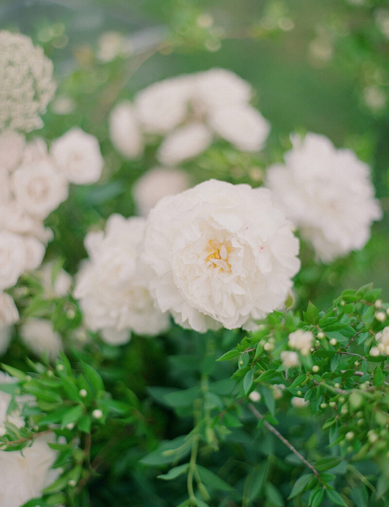 Borgo-Stomennano-Tuscany-Wedding-Hilary-Louis-85