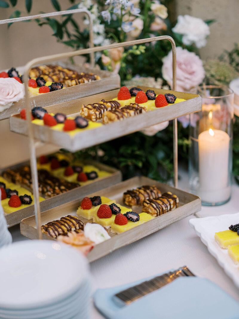 LaurenDylanWedding_1574