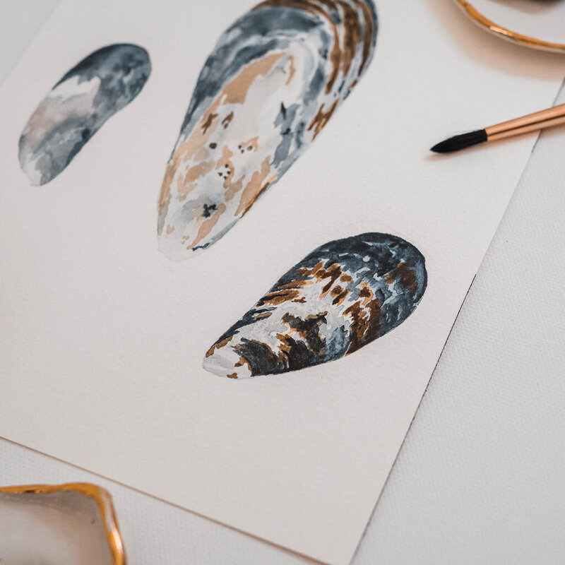 Watercolor closeup of a mussel shell painting by Amy Duffy