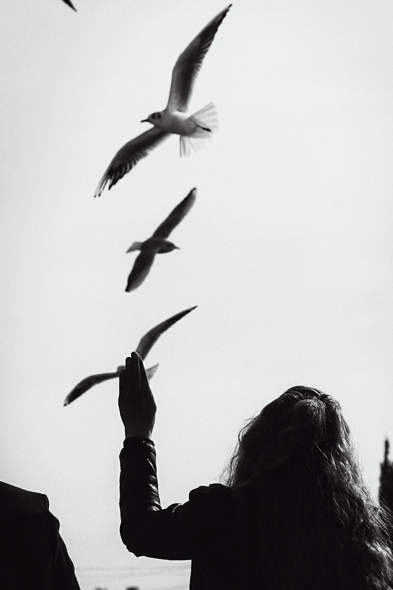 pexels-mehmet-orak-14715573