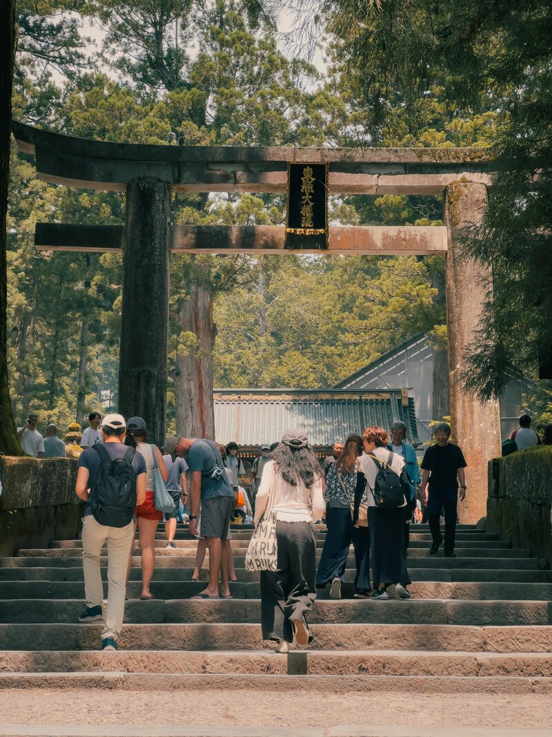 A group of people exploring a peaceful Shinto shrine surrounded by nature in Japan