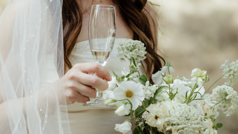 Online wedding planning courses, checklists and templates