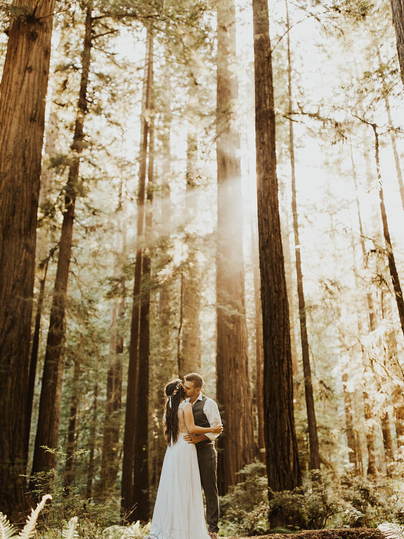 pride & groom kissing in the forest