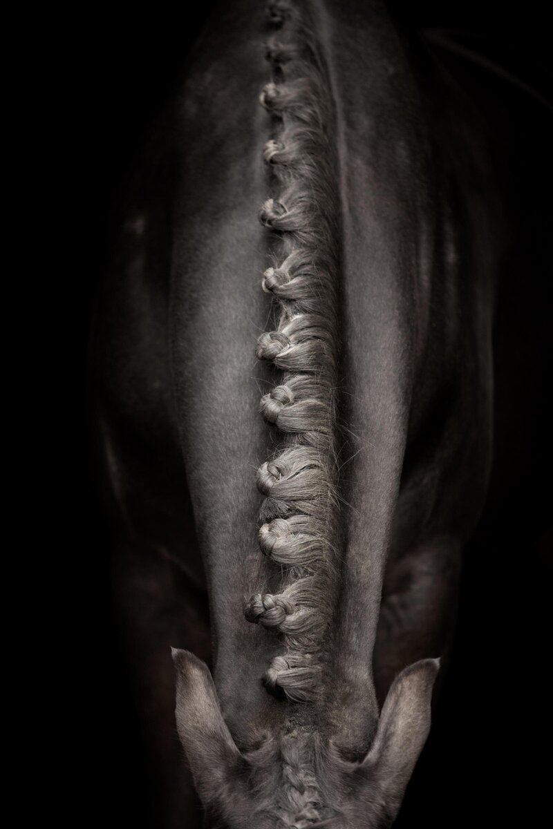 Portfolio-blackfotografie-galerij1-ByMarita