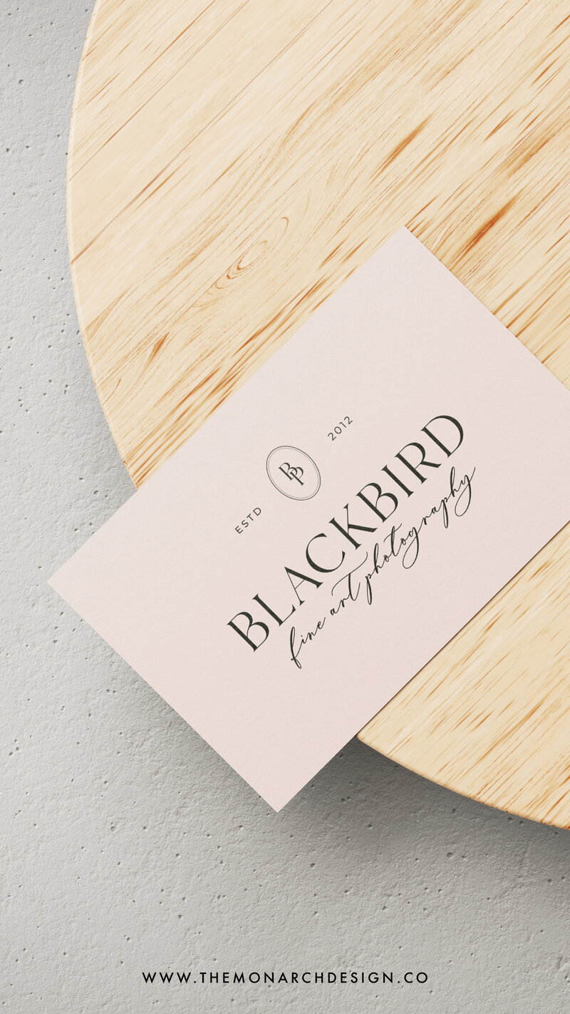 Blackbird-photography-social media - stories12