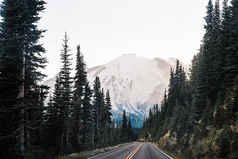 Close up image of a road through Mt Rainier National Park with Mt Rainier framed by high alpine trees