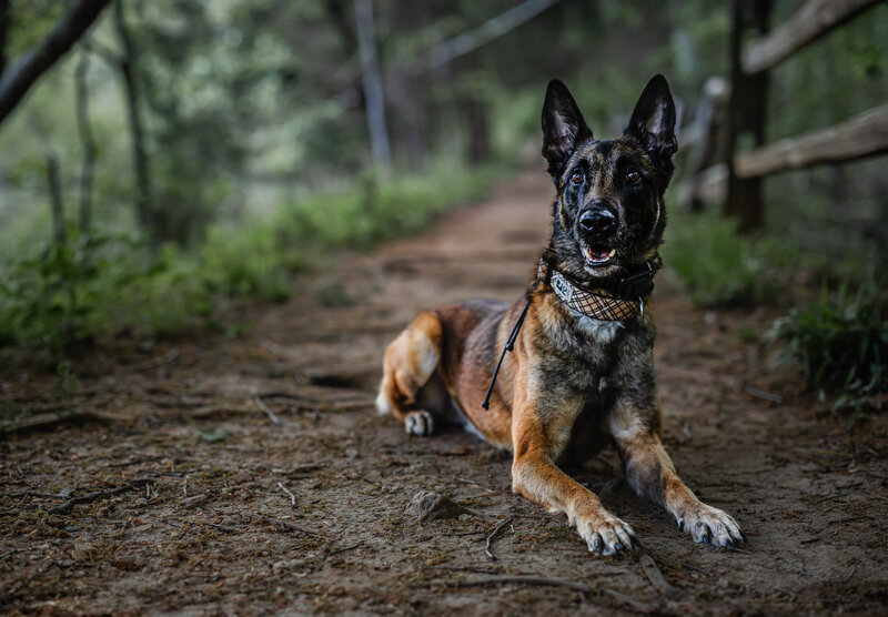 0T7A4135-Edit