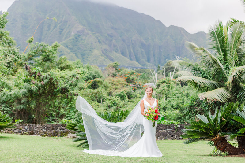 a bride standing with a colorful bouquet with native hawaiian florals as her cathedral length veil floats in the wind set with a backdrop of the stunning ko'olau mountain range on the island of oahu