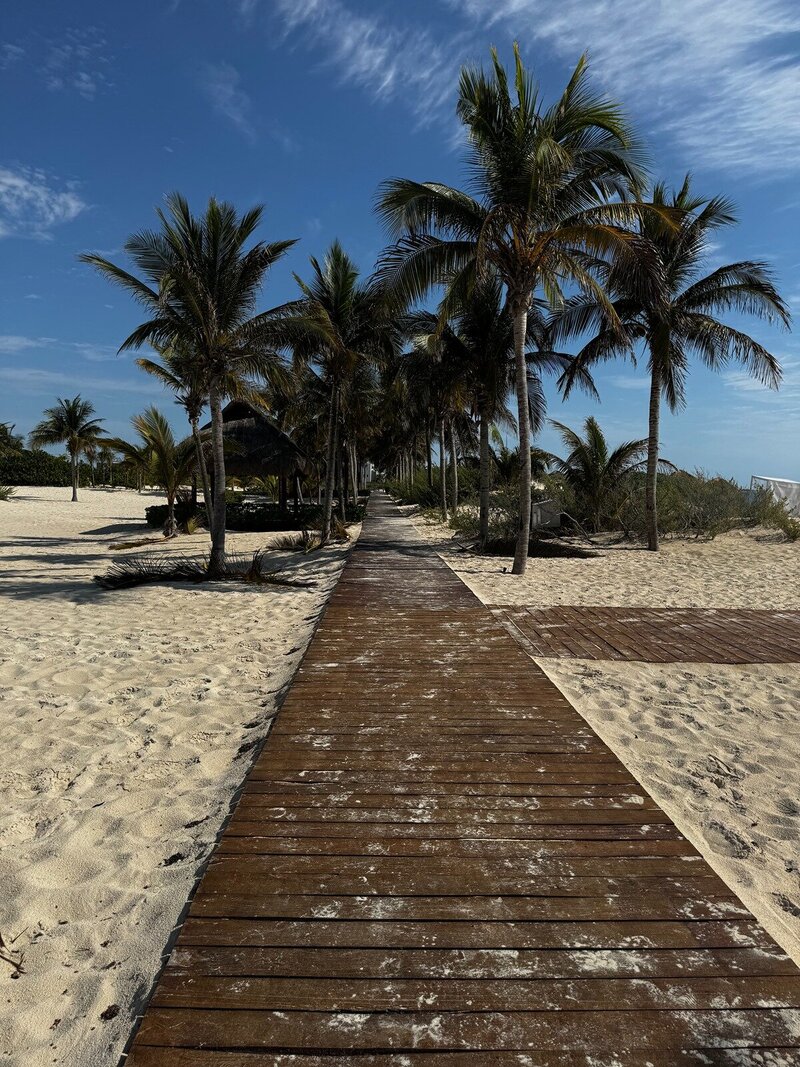 caribbean-pathway-beach