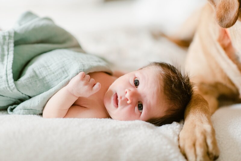 Newborn-Photo-Roanoke-5-min