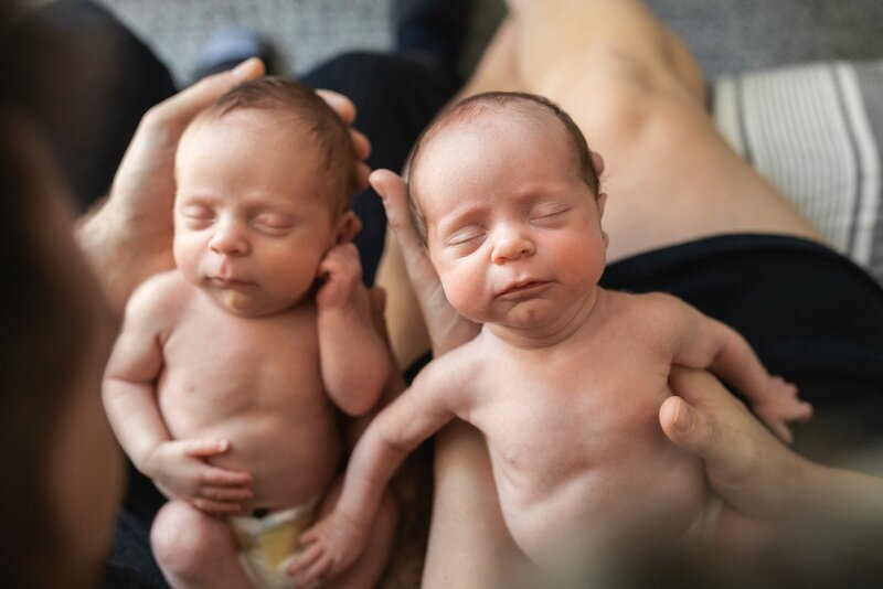 Newborn twins in mom and dads arms