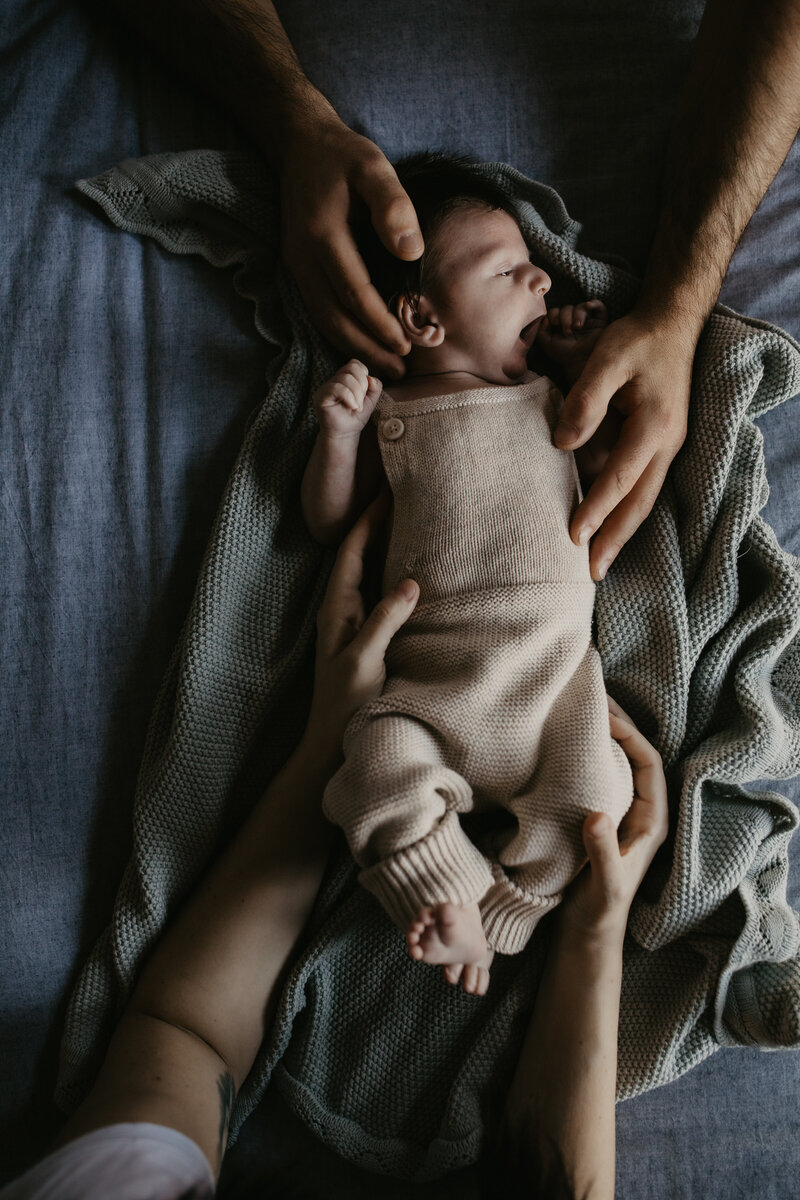 rex newborn67