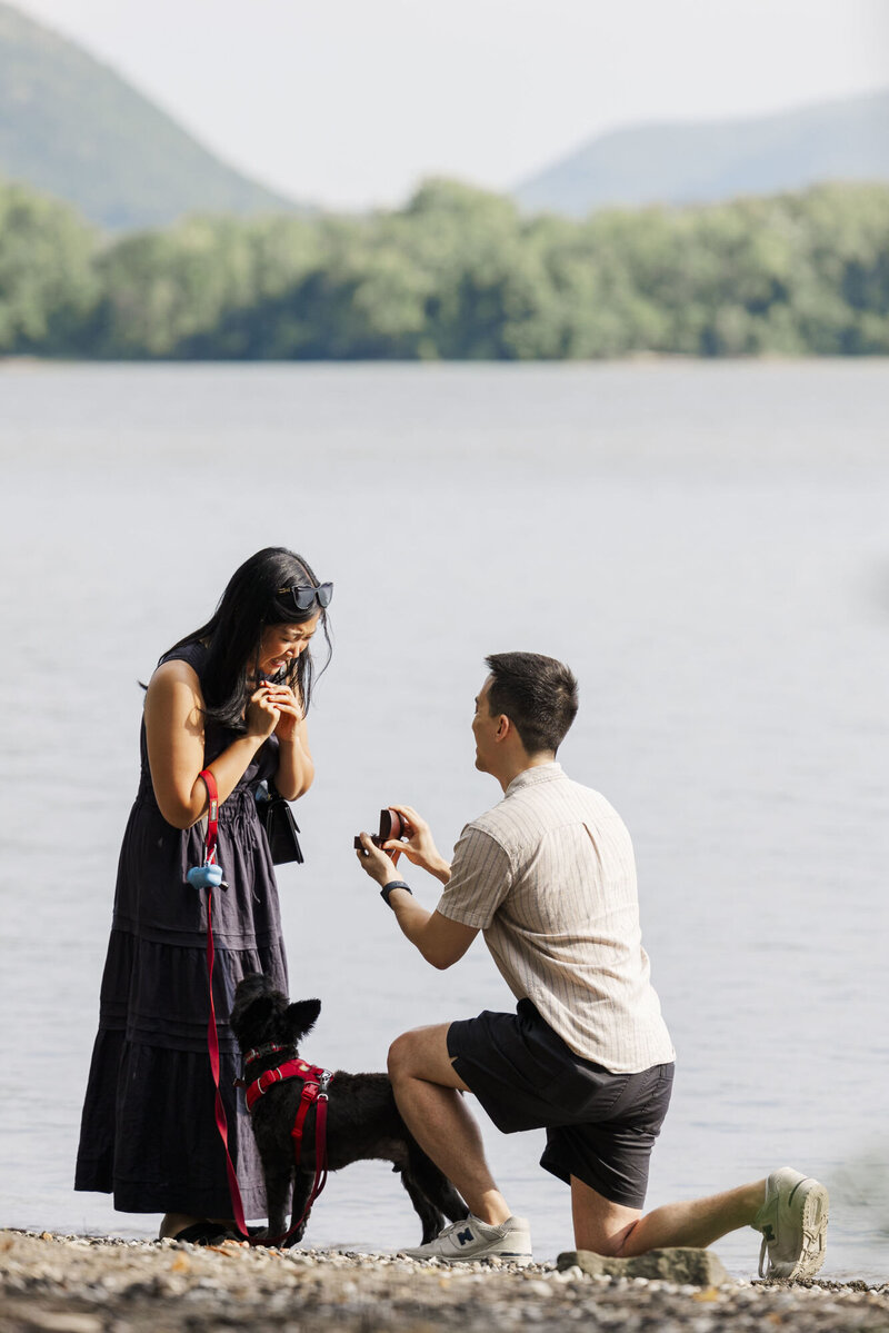 Hudson Valley proposal photos of the big question with candid smiles and happy tears at Long Dock Park