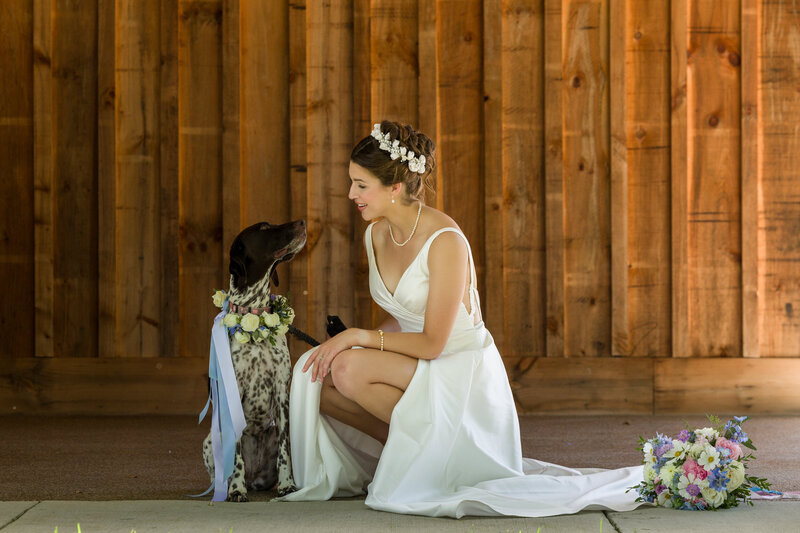 Bride and her dog sharing a heartfelt look during a rustic wedding in Maryland, capturing their unique connection.