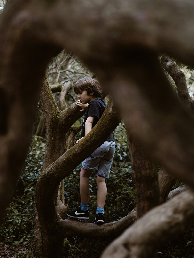 At Wondered Nature School, a woman leans out of a small hut, embracing the beauty of nature around her.