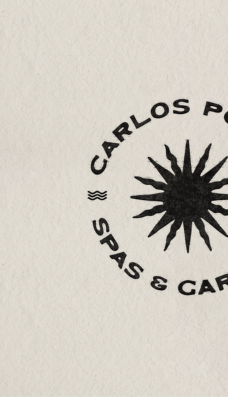 Branding logos for pool company showing web design for small business for website
