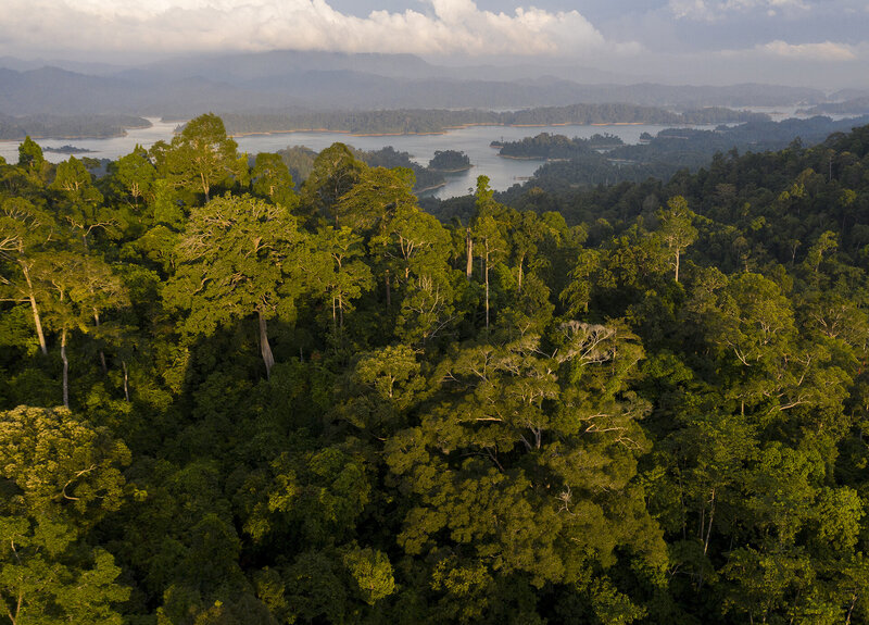 Malaysia—Kenyir State Park landscape © SANJITPAAL SINGH