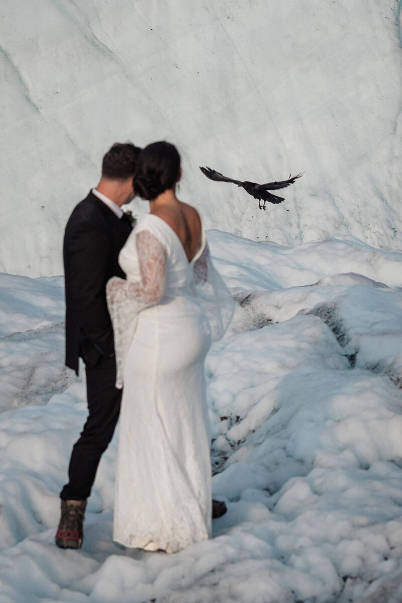 A bride and groom in formal wedding clothes stand together in an embrace in their Alaska elopement on a glacier--they are faced away from the camera, as a big black crow flies, wings extended about to land next to them.