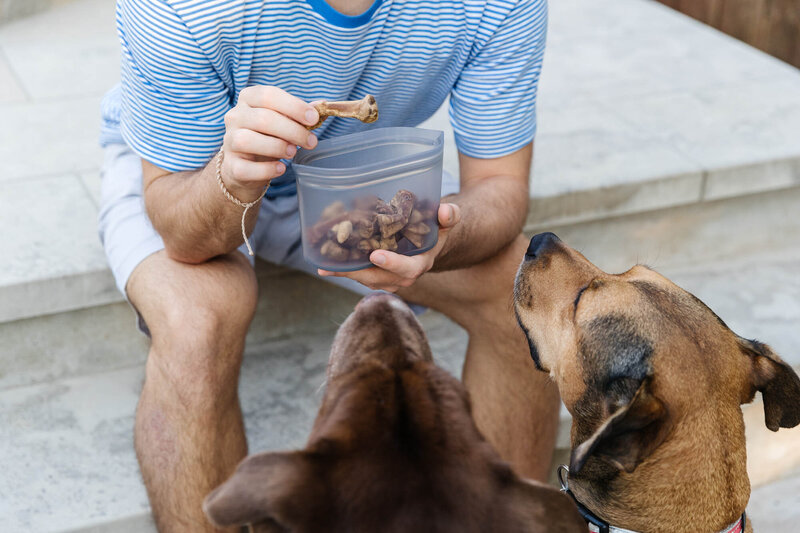 dogs-getting-treats