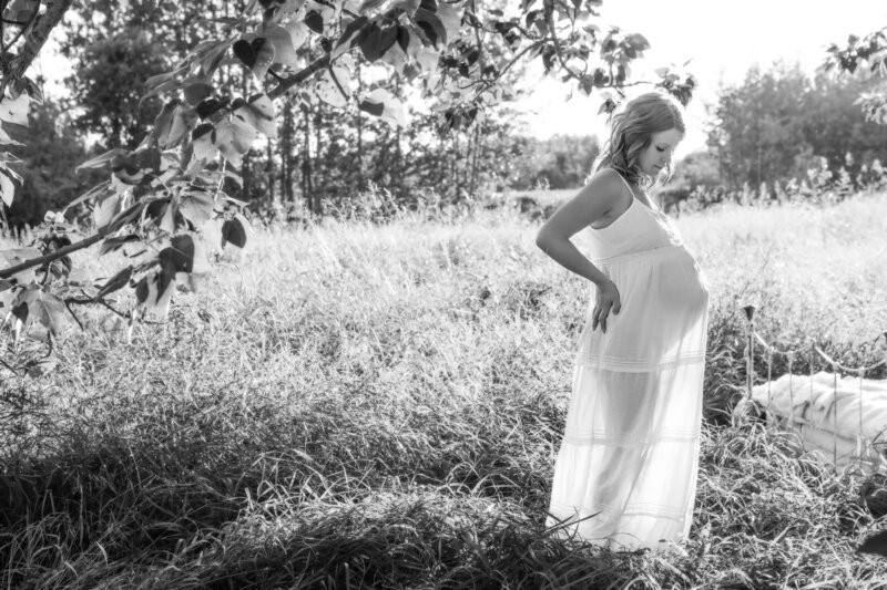 expectant mom in field with sheer dress