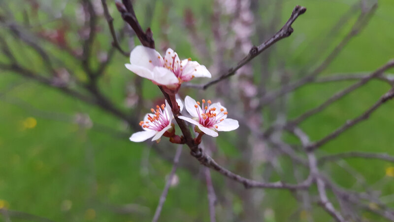 Jen Burghart Reiki 0060502_Jen Burghart Reiki 00323