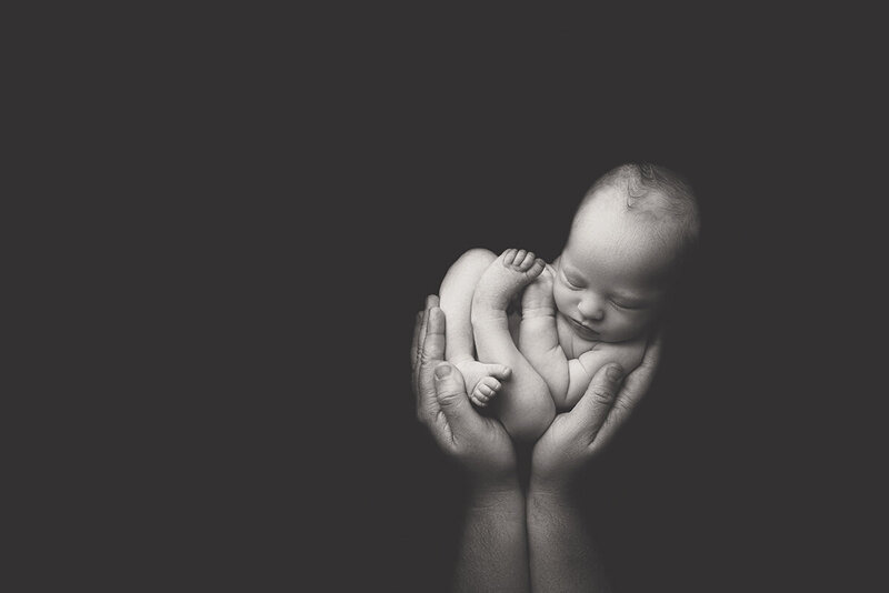 Newborn baby girl in daddys hands