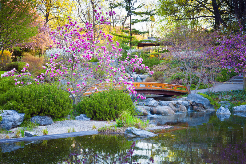 jardin-japonais