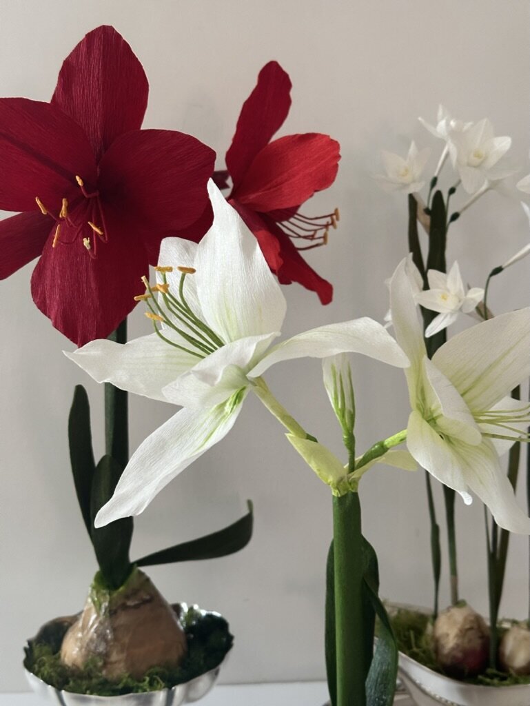 39F65865-D46F-4CE8-902C-E0E89AB2BAE0_1_105_c