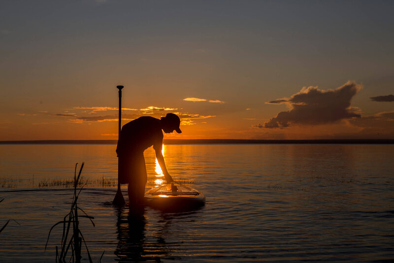 paddle boarder at sunset Lesser Slave Lake