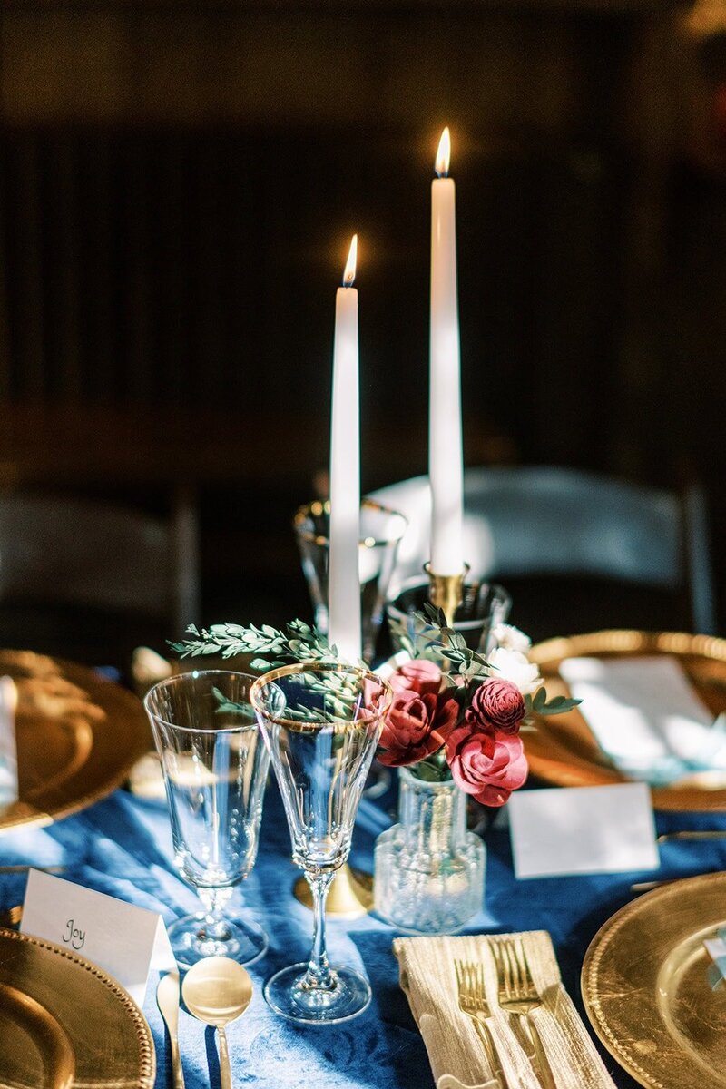 Douglas Ellington House Asheville Wedding Photographer (83)