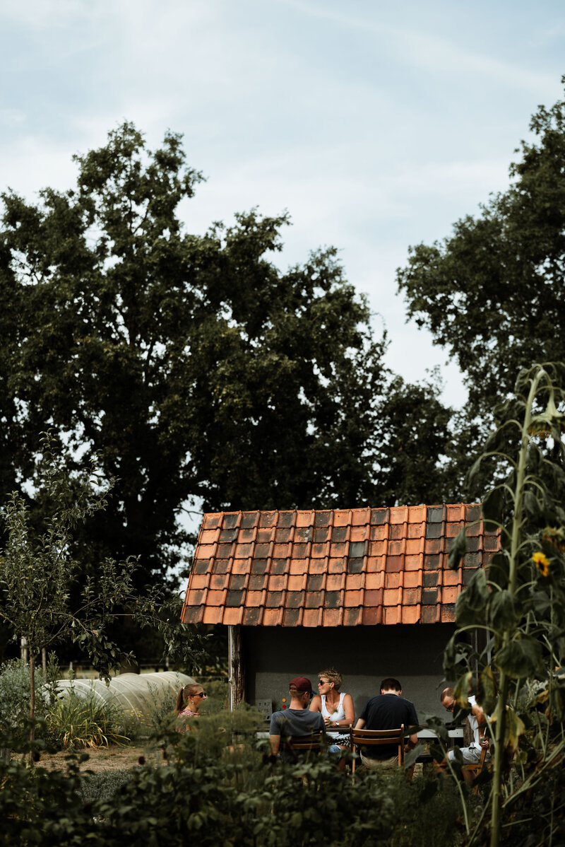 Mensen die genieten onder en schuurtje van de laatste zonnestralen in een groen decor van een bloemenpluktuin in lichtaart.