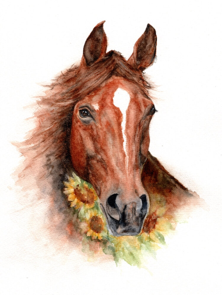Watercolor horse portrait