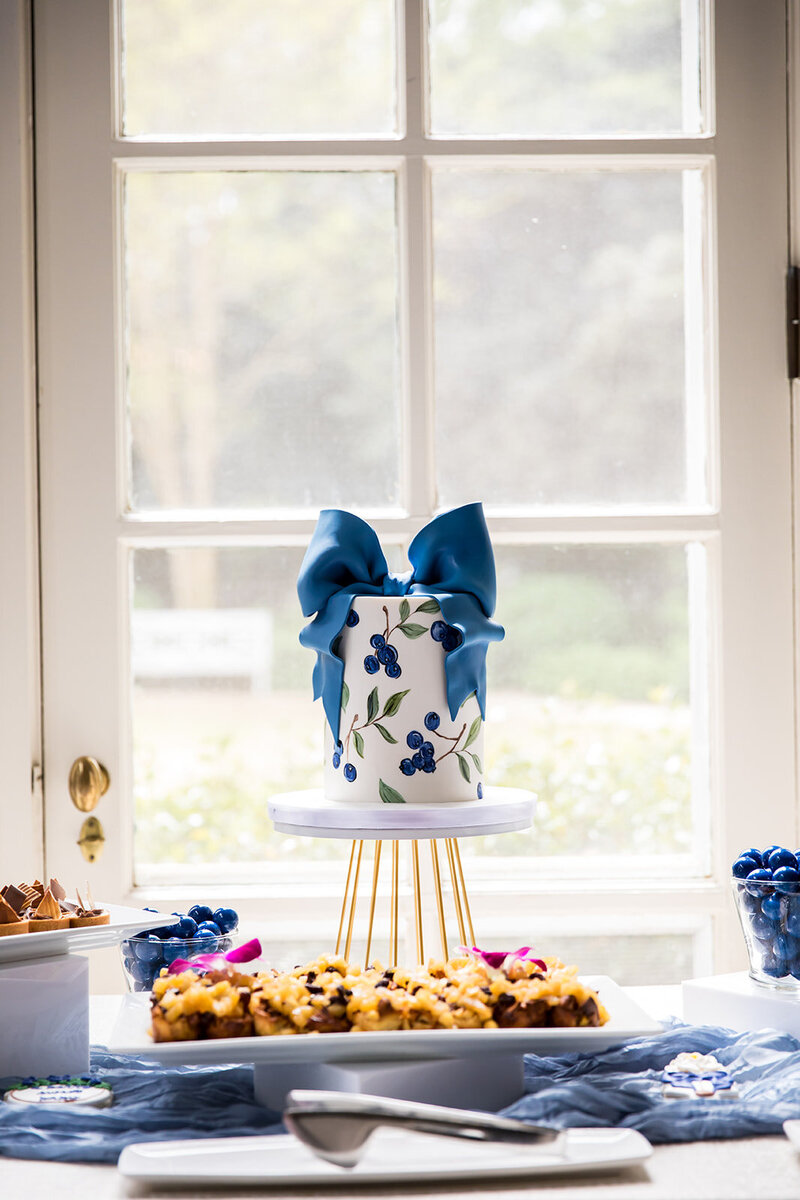 BerryBoujeeBabyShower-66