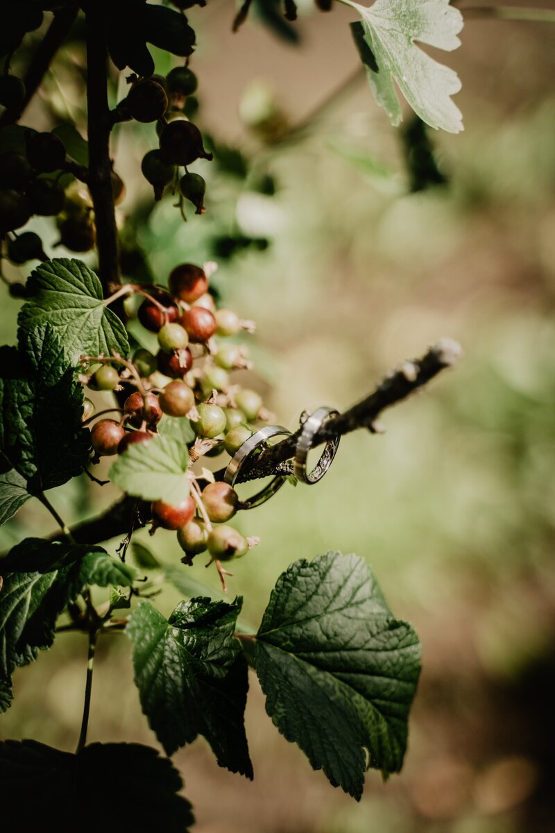 victoria-priessnitz-NzN7Jfca02M-unsplash