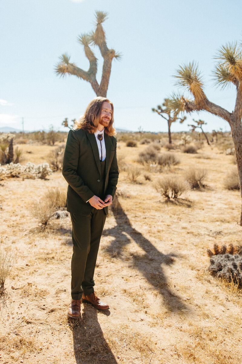 Joshua tree photographer