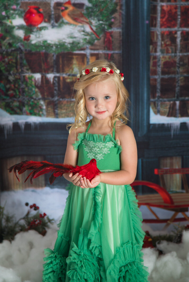 girl-wearing-green-dollcake-dress-holding-red-bird-against-studio-holiday-backdrop-in-arlington-tx