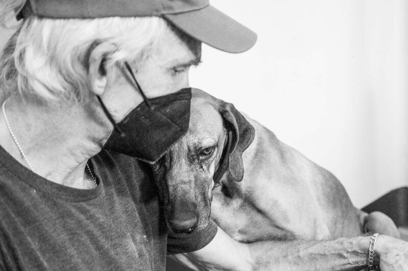 rhodesianridgeback-endoflife-petphotography-1